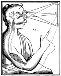 old illustration of seeing and pointing