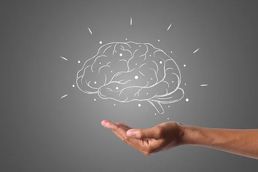 chalk drawing of brain