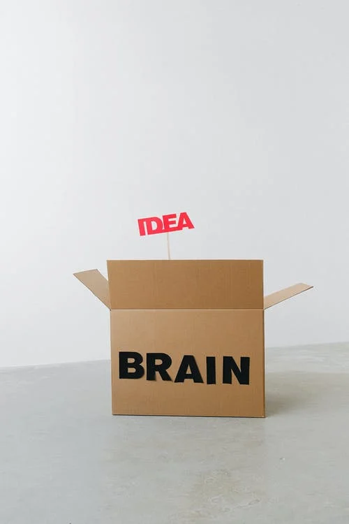 Cardboard box labeled Brain with sign reading idea go in it
